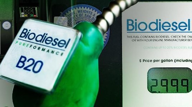 Ilustrasi Biodiesel B20