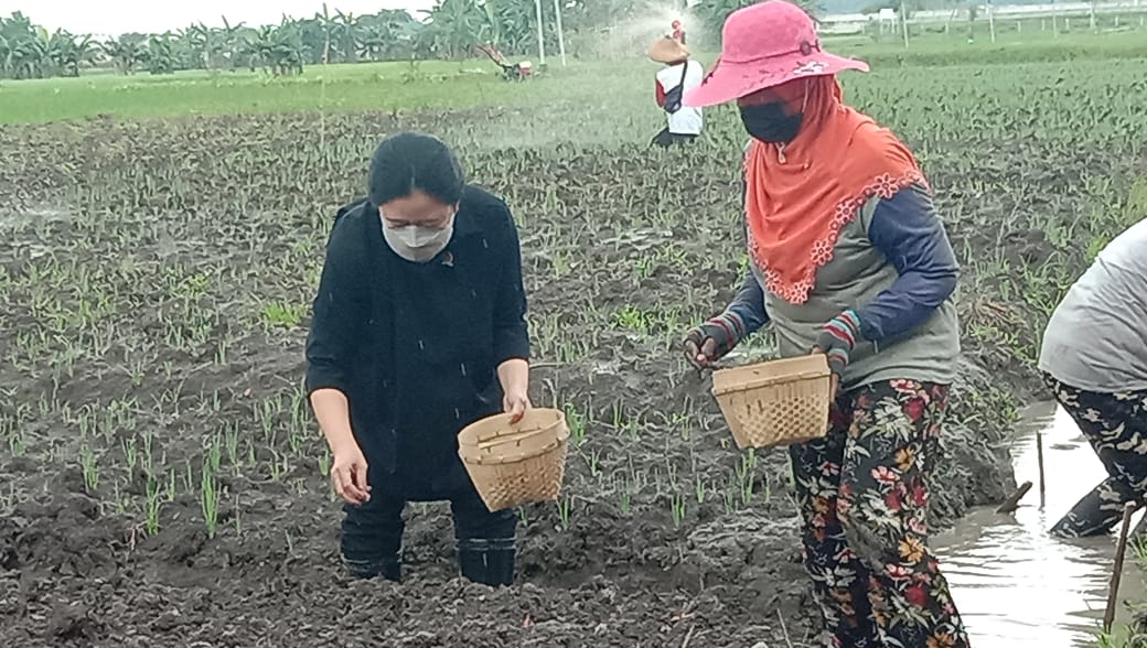 A81349DF 321E 4527 8284 BFBEB33E776C