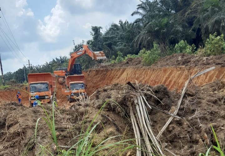 39A5ED63 85A7 436A AB20 D9BE99C38A79