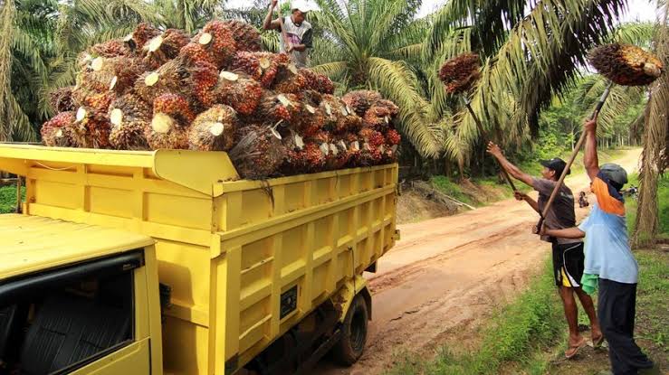 5DB595E0 2DE1 4C5B BC96 FD06E79A2DA7