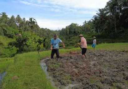 Telisik Peluang Pembangunan serta Potensi Pertumbuhan Ekonomi Sumatra Utara Melalui Reforma Agraria Telisik Peluang Pembangunan serta Potensi Pertumbuhan Ekonomi Sumatra Utara Melalui Reforma Agraria