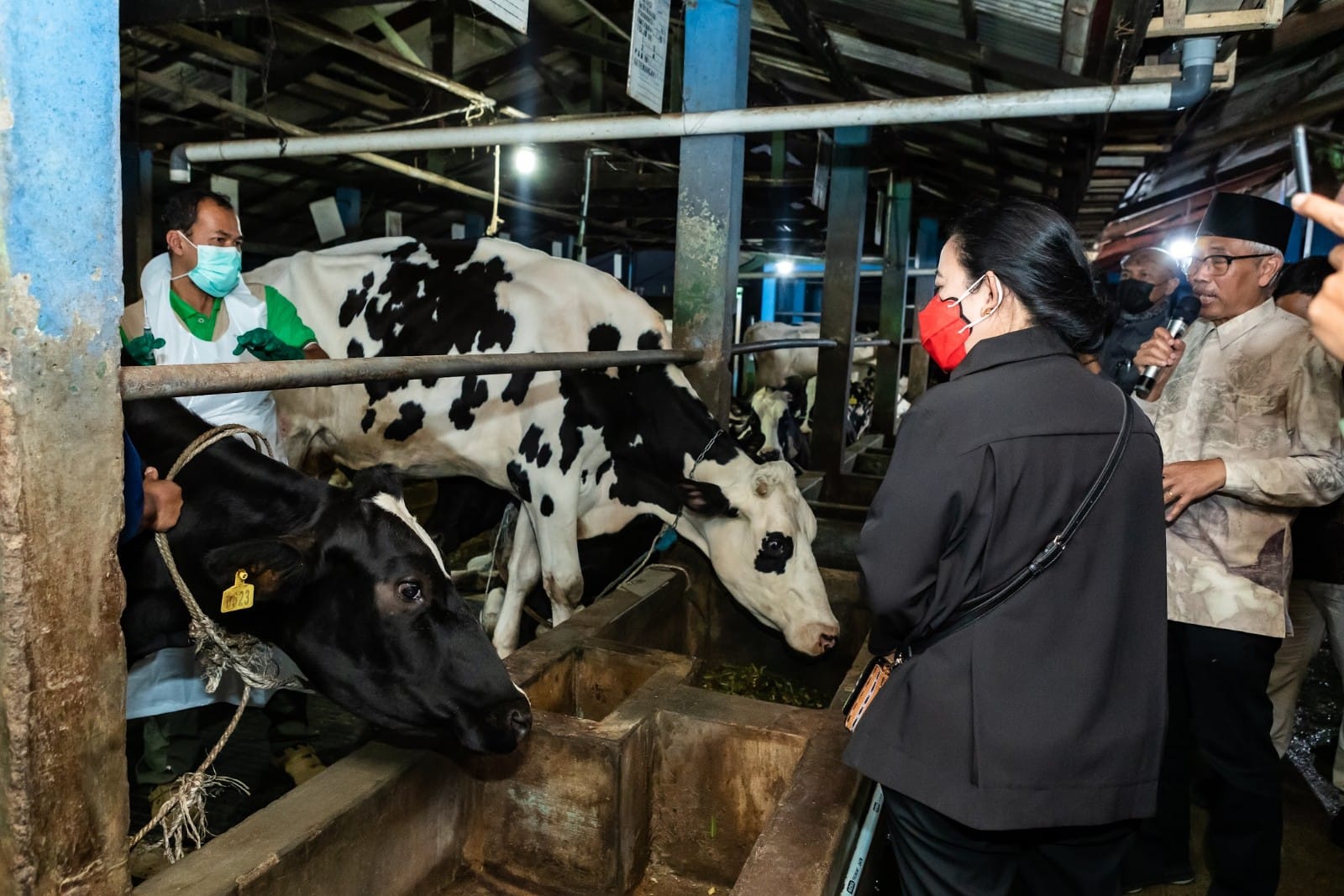 97C024D3 1B60 49CC A14C 22AB688A95D6