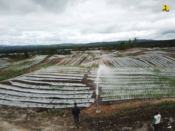 FAB2459A 14FB 4157 BC0F 41A99696FE0B