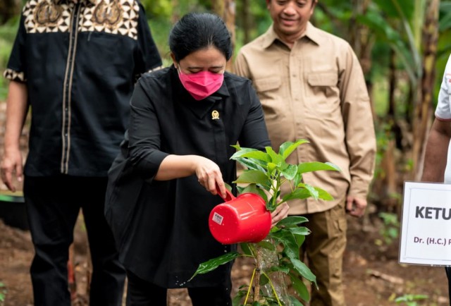 5B21F247 23EA 4243 A5D3 C4E18CAB19AF