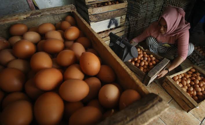 78A0F282 B265 4B01 B22F 7CD940E41975