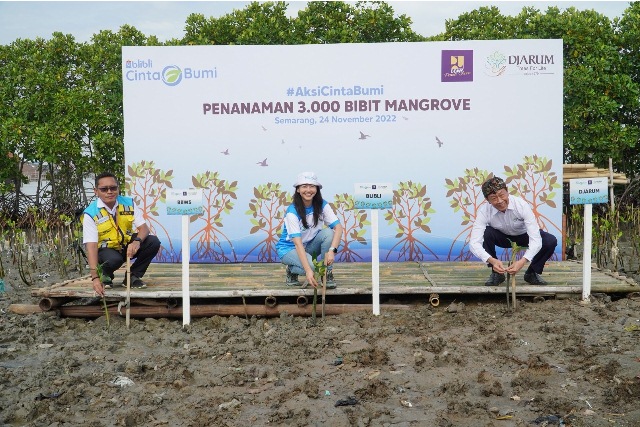 Sambut Hari Menanam Pohon, Blibli dan Djarum Foundation Tanam 3.000 Bibit Mangrove Sejati