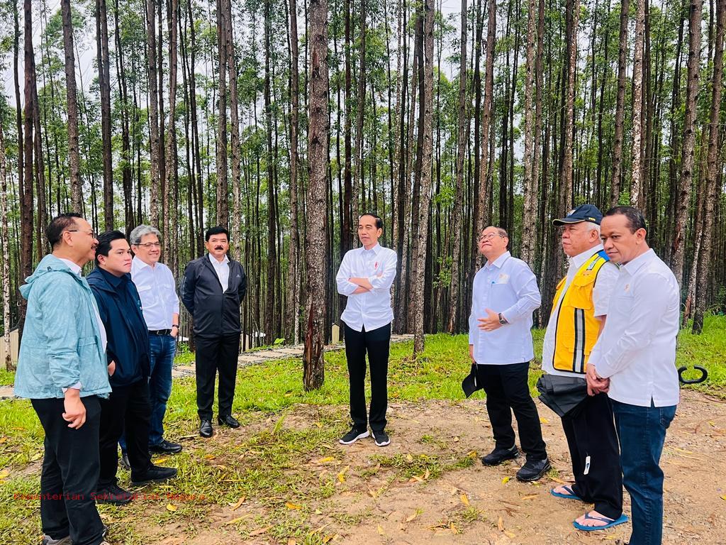 80F8F894 43F2 40F4 B00C 2371AA81B471