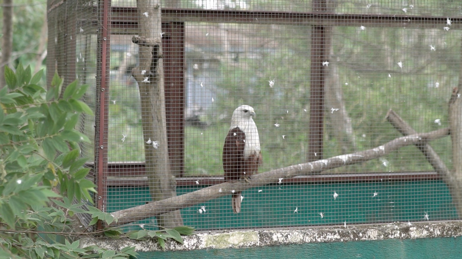 7448B926 A2B1 4922 AE7A E2CABFB5E620