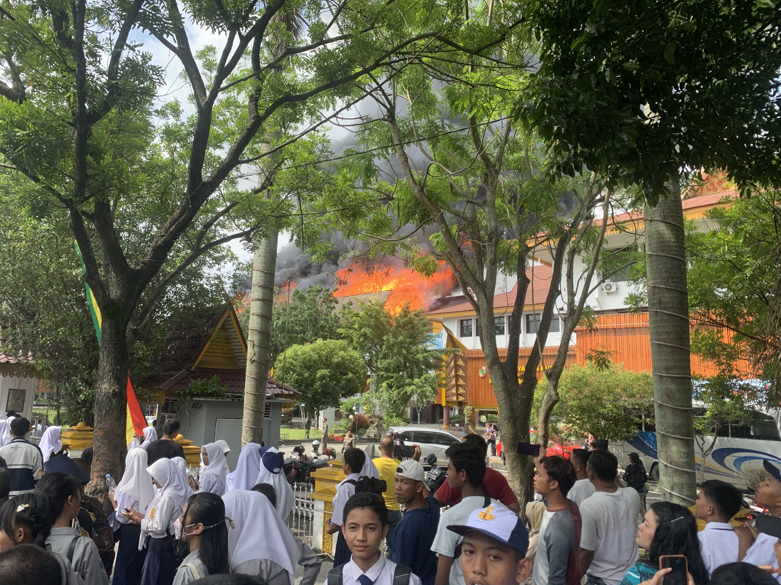 A2731A56 78E2 4C9F A4E8 04E1AA4C0A02 scaled