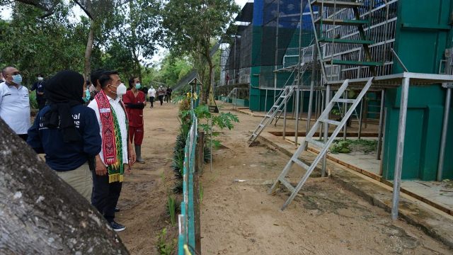 Perlindungan dan Konservasi Orangutan Butuh Kolaborasi Jangan Saling Menghambat