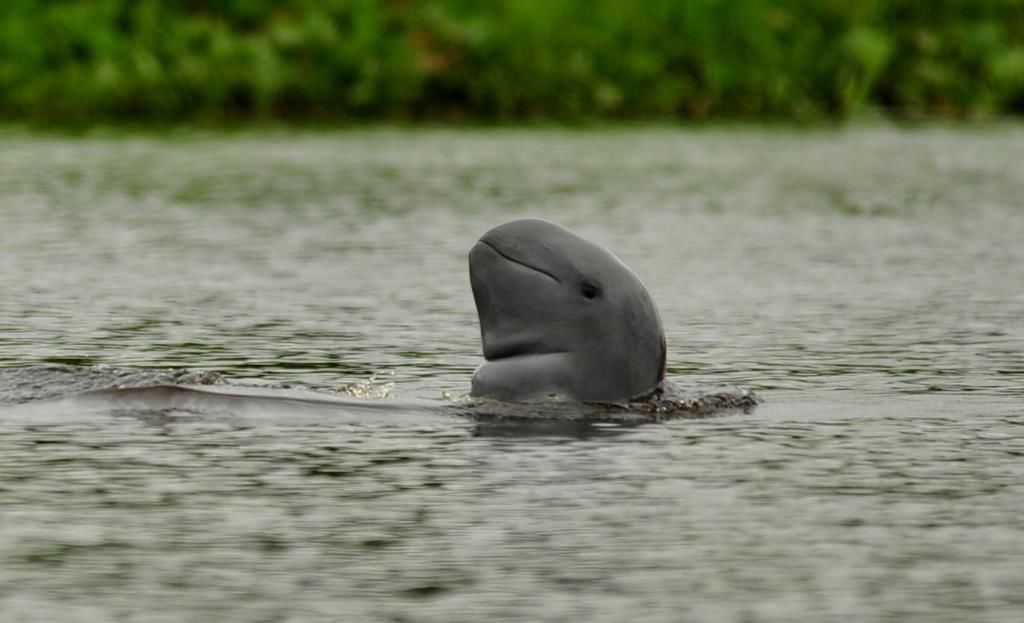 b7adc267 a8c9 432f 89ea be6e740d4c03