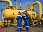 Integrasi Infrastruktur Gas Bumi, Strategi PGN Raih Potensi Demand Industri & Kelistrikkan di Wilayah Batam