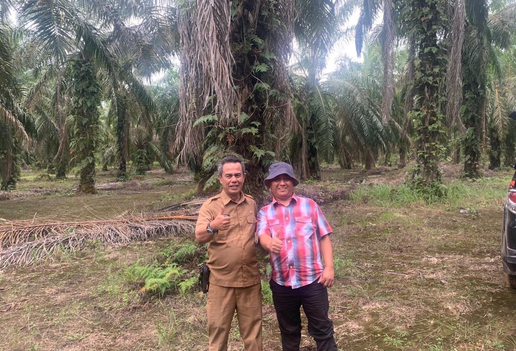 PT SRS Telah Penuhi Seluruh Ketentuan Perizinan dan Peraturan Perundang Undangan untuk Borrow Pit Pematang Ibul 1 5511fca7 6dc9 4137 ba0d 8974843eeeb9