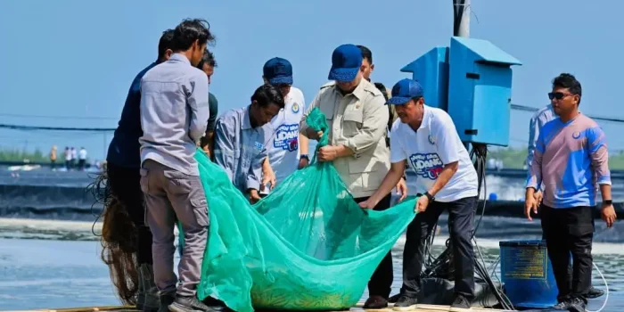 01KSECF4PMQ42EGS0FGDDRX8DX Barantin Dampingi Presiden Panen Raya Udang di Kebumen