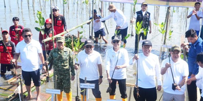 PT Semen Tonasa berpartisipasi dalam penanaman 7.000 bibit mangrove di Pangkep dalam rangka Hari Mangrove Sedunia 2026 sebagai bagian dari upaya pelestarian ekosistem pesisir.