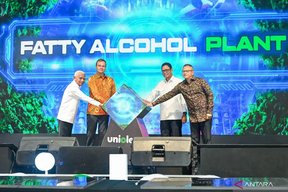 Infrastruktur Energi Diperkuat, Investasi dan Lapangan Kerja di KEK Sei Mangkei Berpeluang Tumbuh