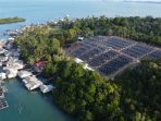 Di hadapan Presiden RI, Pertamina NRE Pamerkan PLTS Pulau Sembur Dukung Program PLTS 100 GWp