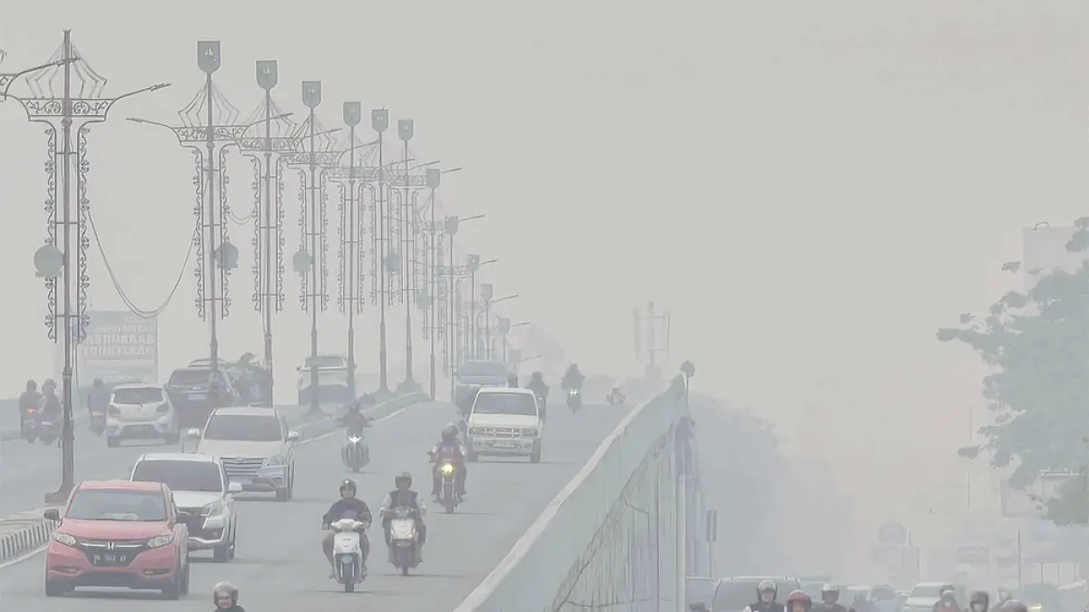 kabut asap semakin pekat terlihat menyelimuti jalan soekarno hatta pekanbaru selasa 6102026 kabut asap ini berdampak pada proses belajar mengajar di pekanbaru evan gunanzarriau pos SfNhw
